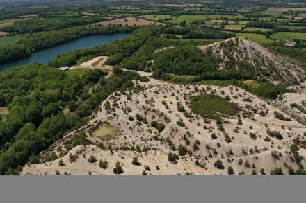 Séjour et Week-end Bretagne Sud · Tourisme & Activités · Auberge de la Forêt